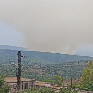 اندلاع النيران في أحراج وادي حامول