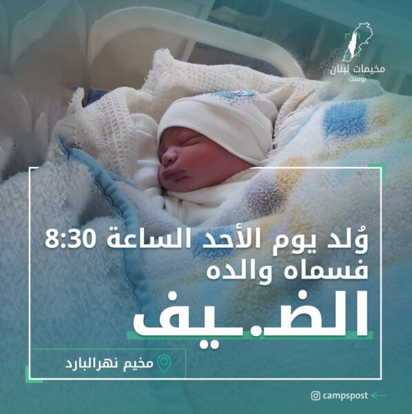 مولود سماه والده محمد الضيف