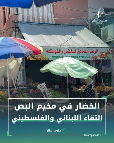 الخضار في مخيم البص