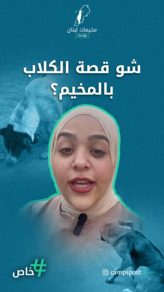 ظاهرة انتشار الكلاب في مخيم نهرالبارد.. شو قصة؟