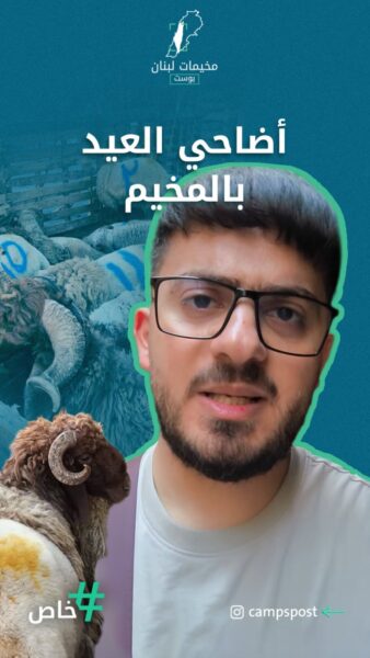 أضاحي العيد بالمخيم