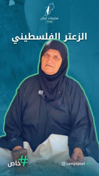 موسم الزعتر والمونة