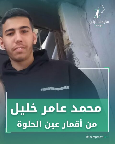 محمد عامر خليل