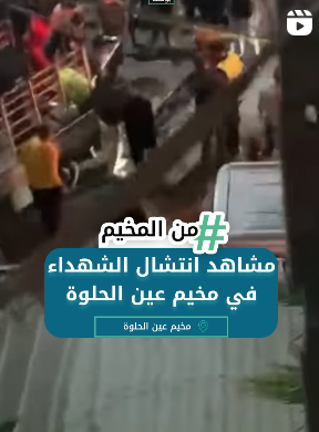 مشاهد انتشال الشهداء في مخيم عين الحلوة