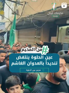 عين الحلوة ينتفض تنديداً بالدوان الغاشم