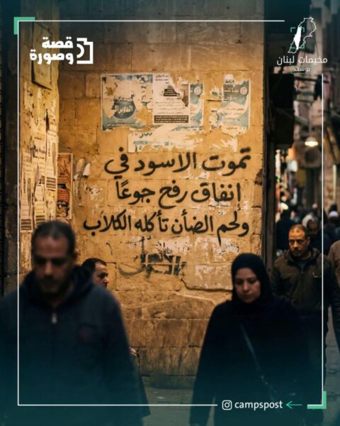 تموت الاسود في انفاق رفح جوعاً