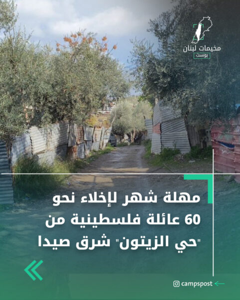 مهلة شهر لإخلاء نحو 60 عائلة فلسطينية من “حي الزيتون” شرق صيدا