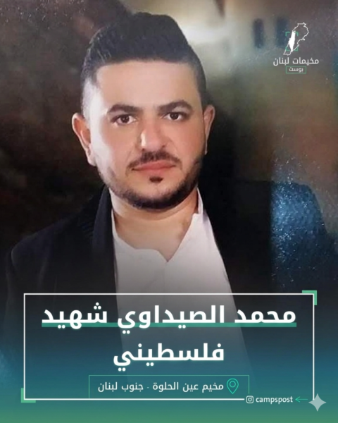 الشهيد محمد صيداوي