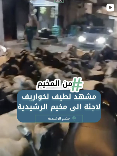 مشهد لطيف لخواريف لاجئة لمخيم الرشيدية