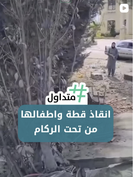 انقاذ قطة واطفالها من تحت الركام