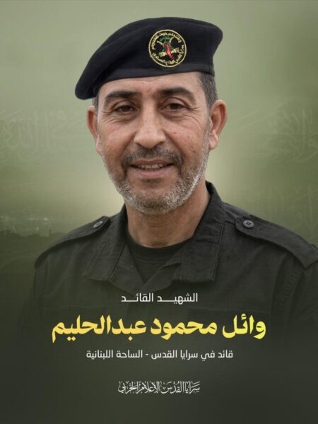 الشهيد وائل عبد الحليم