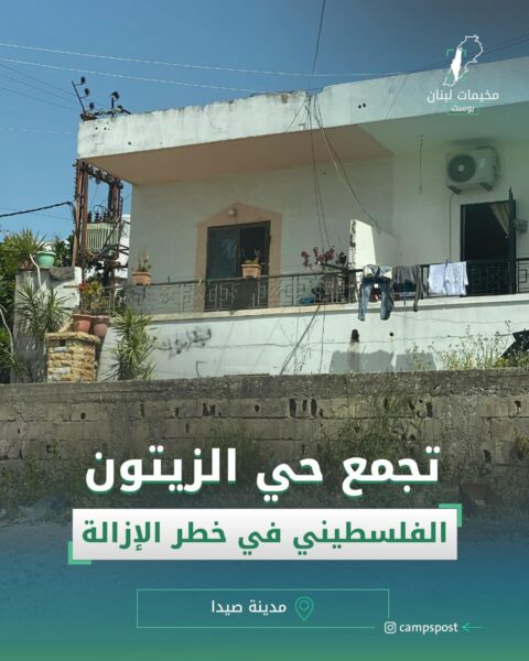 تجمع حي الزيتون