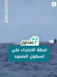 لحظة الاعتداء على اسطول الصمود