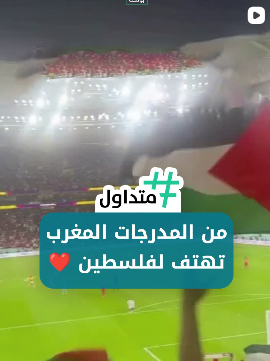 من المدرجات المغرب تهتف لفلسطين