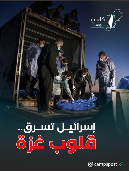 سرقة الأعضاء من غزة