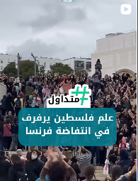 علم فلسطين يرفرف في انتفاضة فرنسا