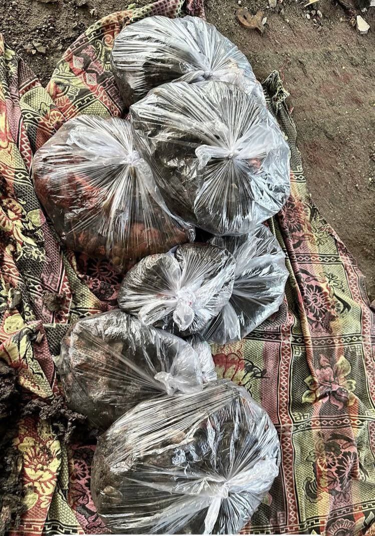 🔴 صورة صادمة وقاسية.. أشلاء شهداء مجزرة مدرسة التابعين في…