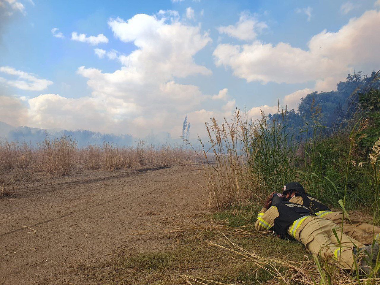 مصادر عبرية: اندلاع حريق في “هغوشريم” شمال فلسطين المحتلة؛ جراء…
