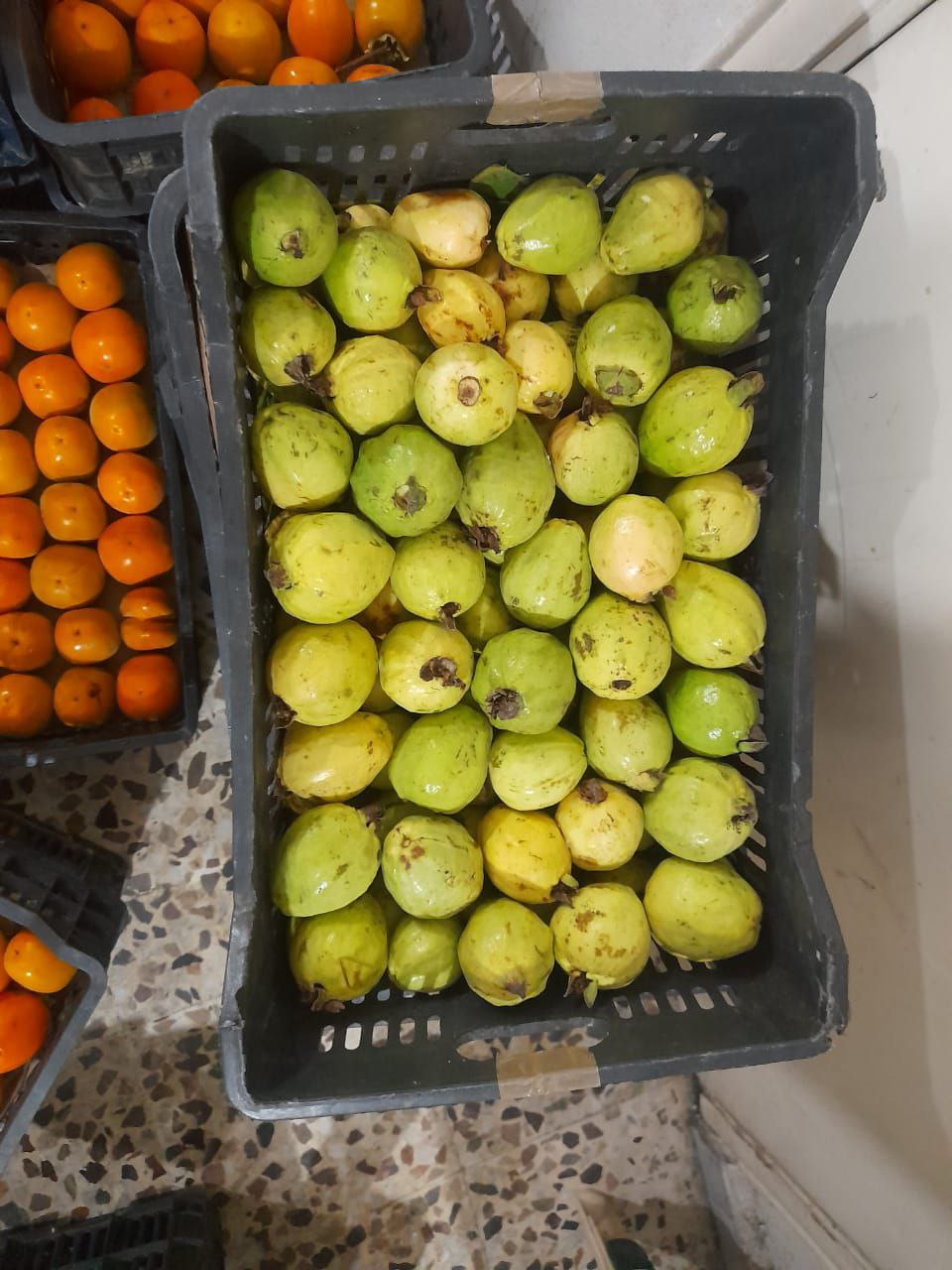 قام وفد من حركة حماس في مخيم البص بمدينة صور…