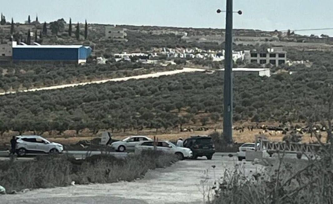 صورة من موقع عملية إطلاق النار قرب البحر الميت التي…