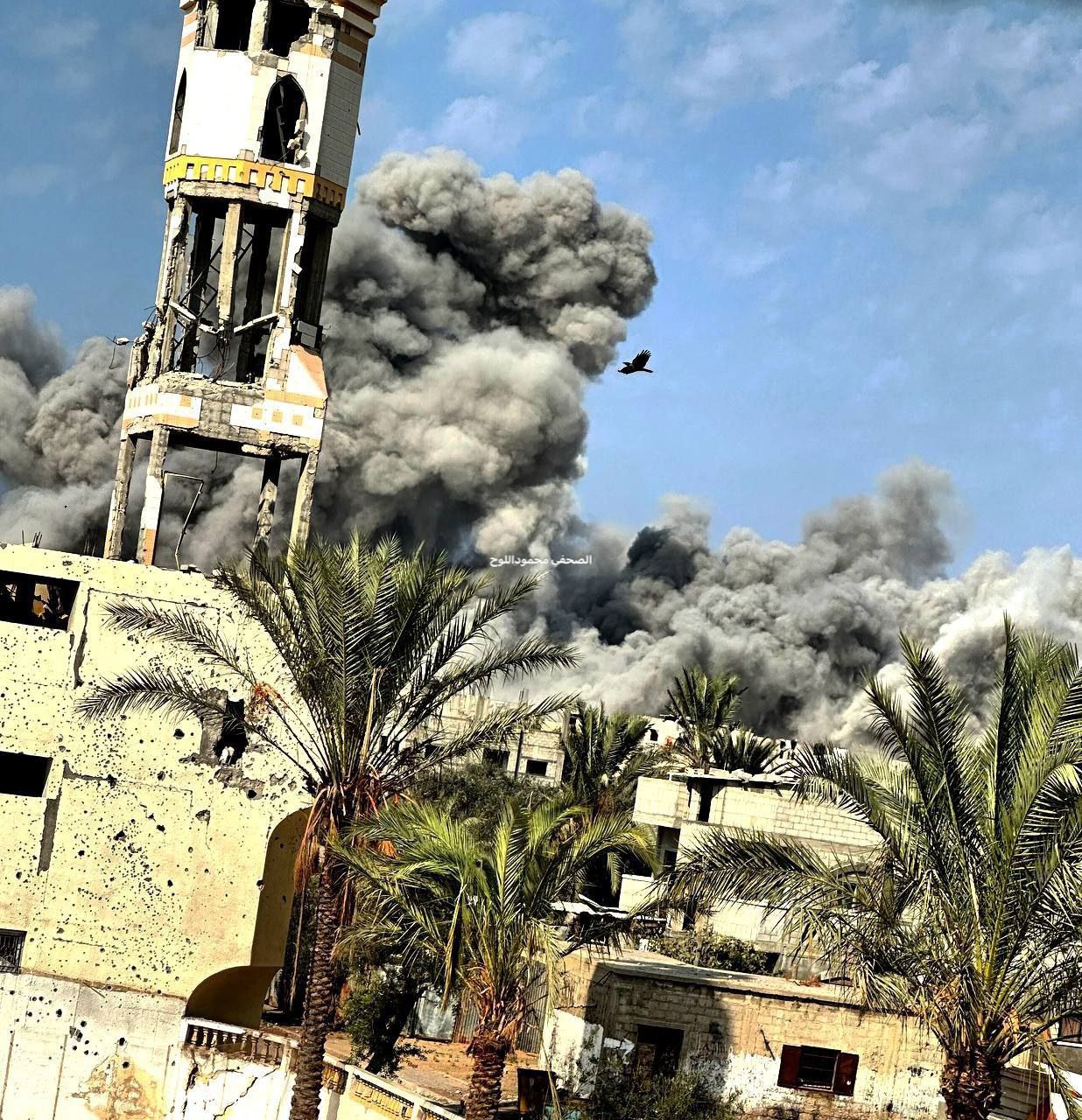 الاحتلال الإسرائيلي يشنّ أحزمة نارية على المخيم الجديد وشمال أرض…