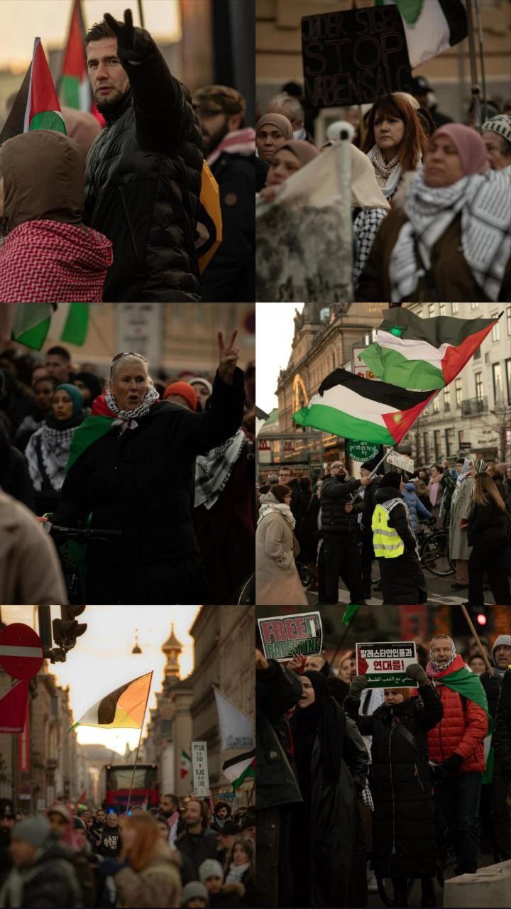 🔴 مظاهرة في الدنمارك تنديدًا بحرب الإبادة المستمرة على قطاع…