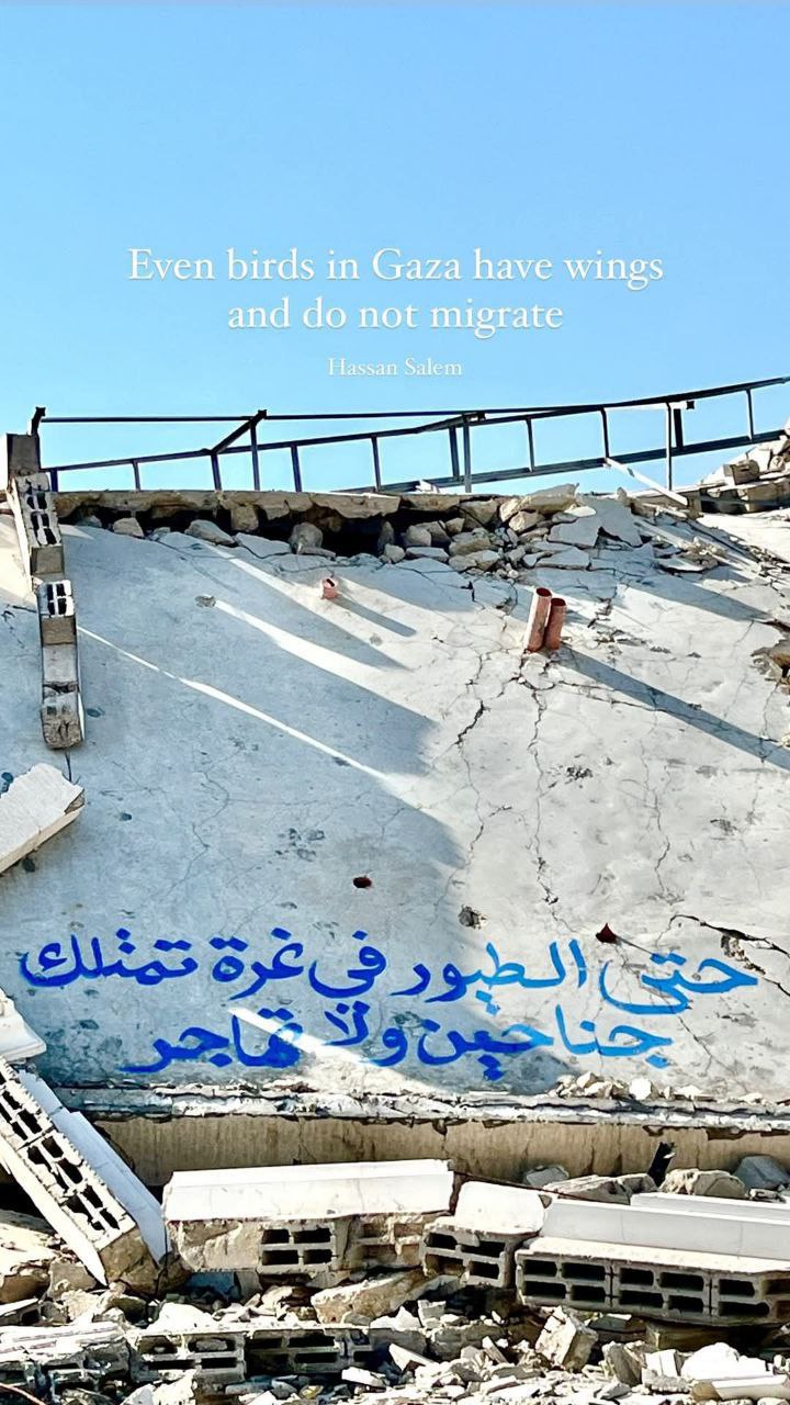 “حتى الطيور في غزة تمتلك جناحين ولا تهاجر”.. جدارية فوق…