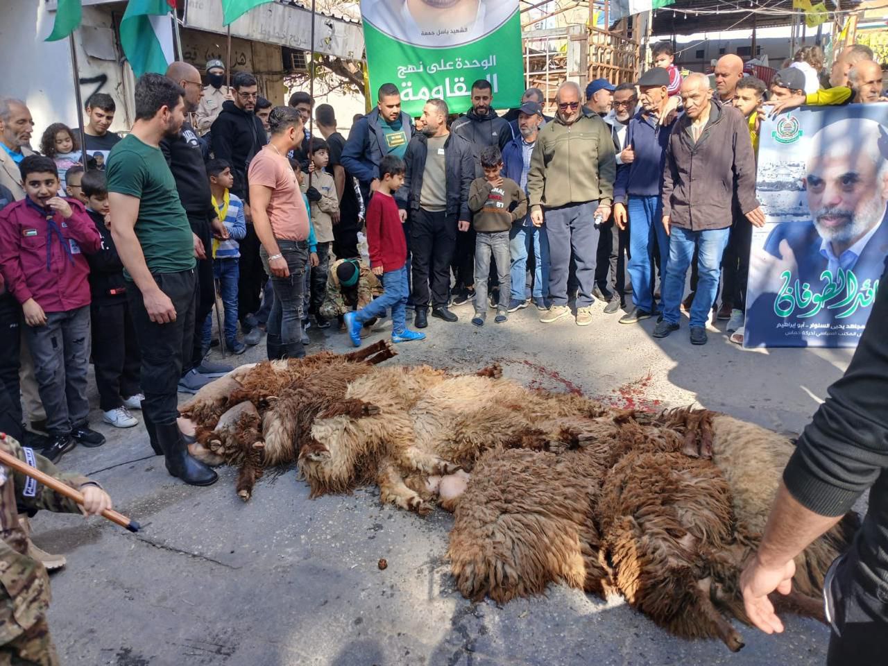 وقفة وذبح خراف أمام مدخل مخيم البرج الشمالي للاجئين الفلسطينيين…