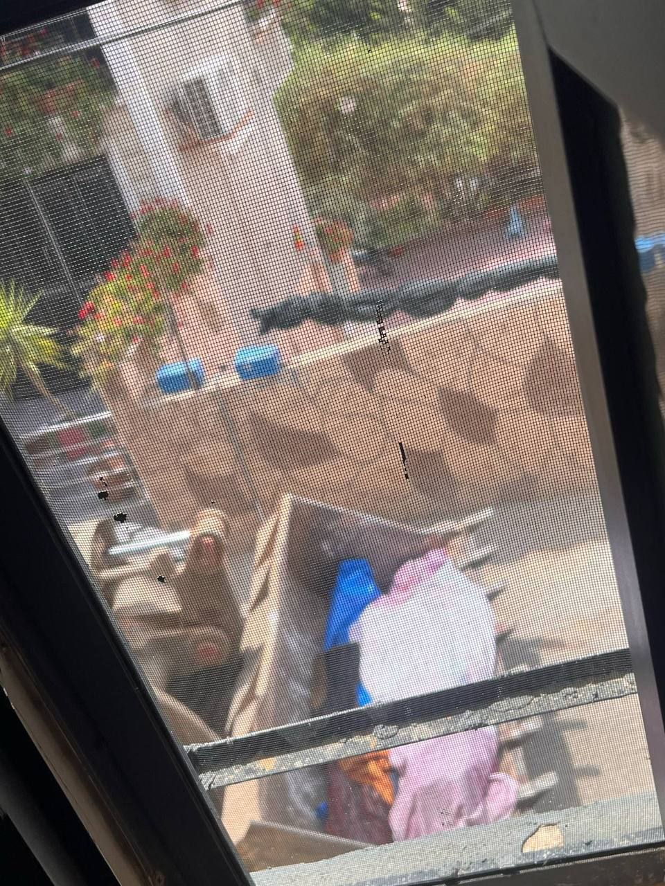 بلدية طمون في طوباس بالضفة الغربية:
– الاحتلال يواصل اقتحام…
