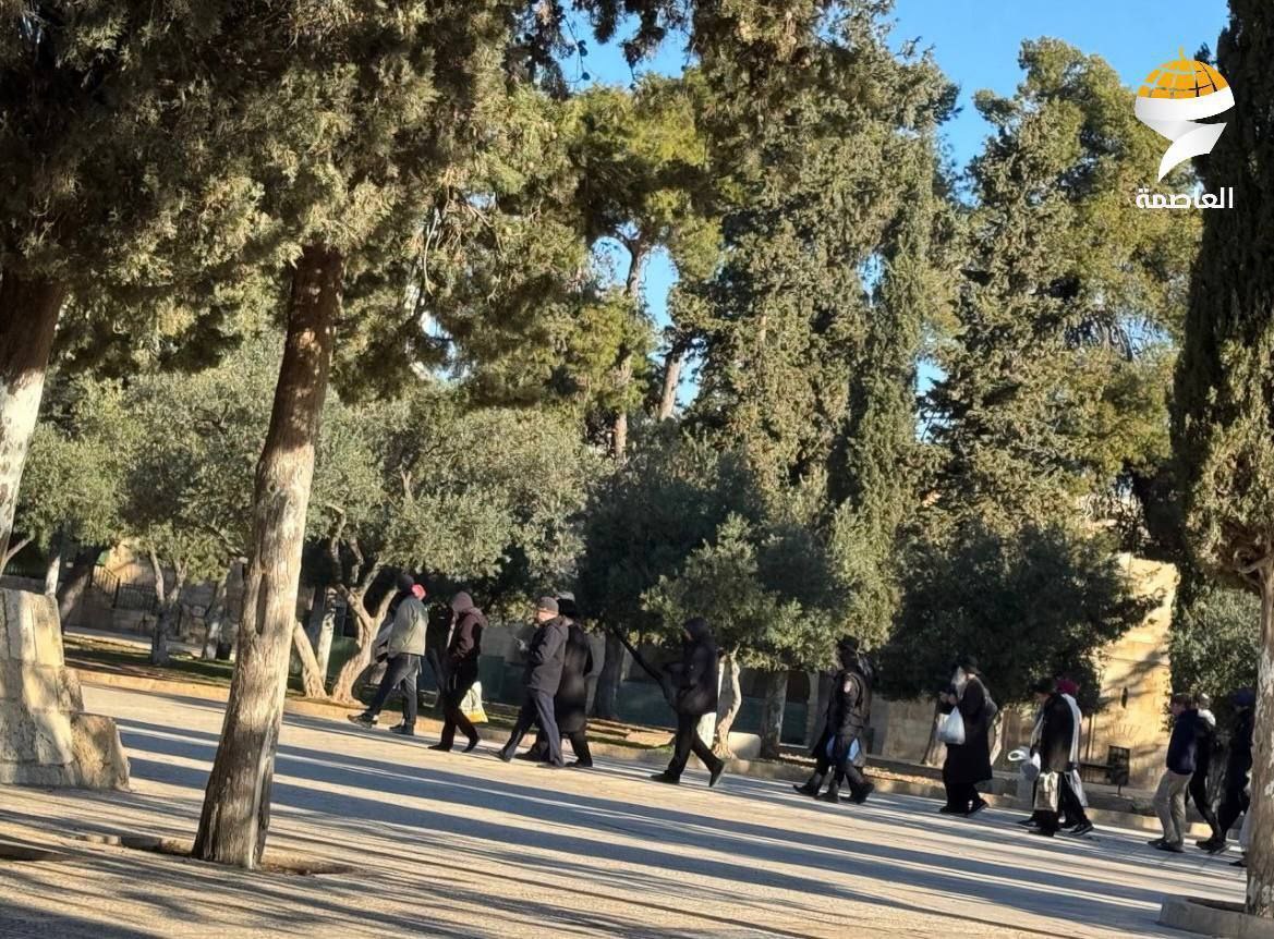 الأوقاف الإسلامية في القدس: نحو 500 مستوطن يقتحمون حتى اللحظة…