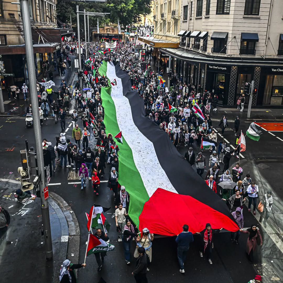 مسيرة حاشدة ورفع علم فلسطين خلال إحدى الفعاليات المستمرة في…