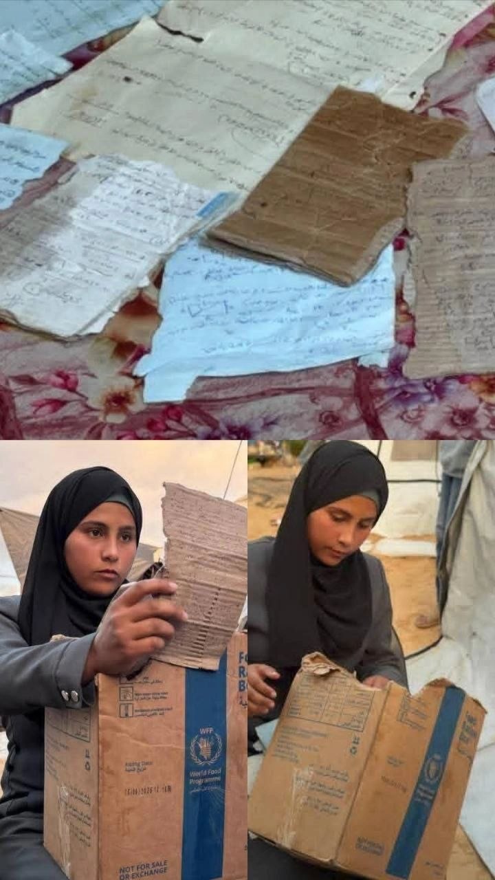 🔴 حققت براءة حسام الجرجاوي إنجازًا لافتًا بتسجيل معدل 97.9٪…