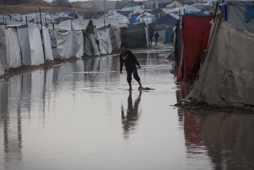 صور تُظهر الأوضاع الصعبة في دير البلح اليوم بعد أن…