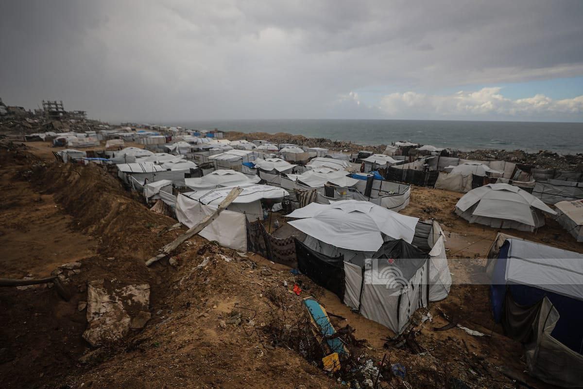 شبكة المنظمات الأهلية الفلسطينية: 

900 ألف نازح داخل خيام مهترئة…