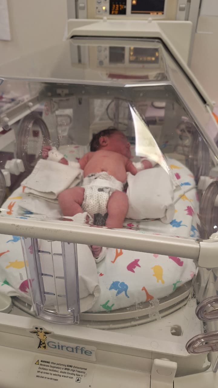 إهمال طبي يهدد الأرواح في مخيم البداوي

شهد مخيم البداوي شمالي…