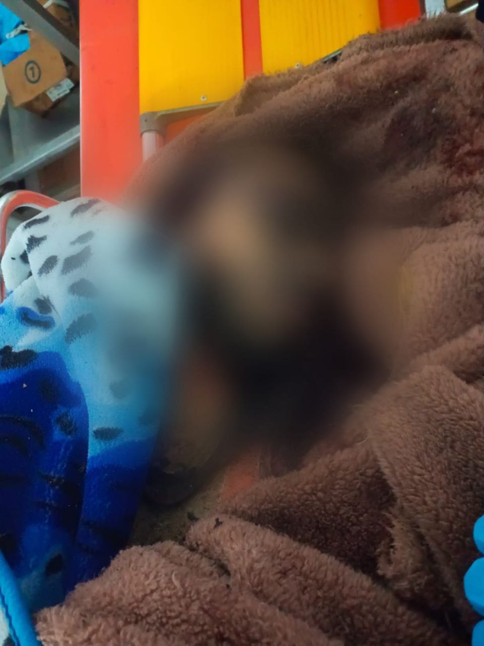 أنباء عن ارتقاء الشاب حسين النمر في الغارة التي استهدفت…