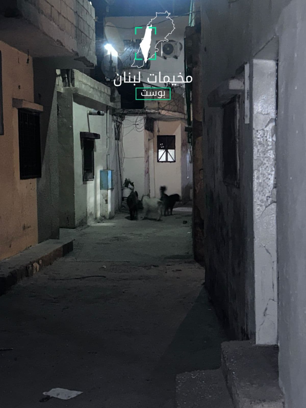 أفاد مراسل منصة “مخيمات لبنان بوست” في مخيم الجليل ببعلبك،…