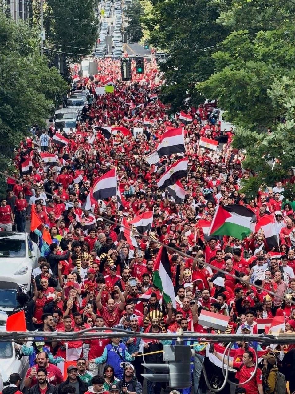 الجماهير المصرية ترفع علم فلسطين خلال الاحتفال بالتأهل إلى دور…